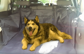 INNX SUV Cargo Liner For Pets