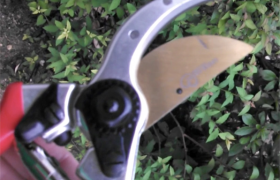 Garden Heart Shears