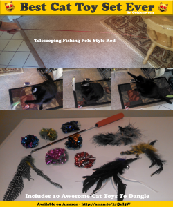 Cat Toys