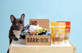 BarkBox - for dog 'parents' who truly love to spoil their pups.